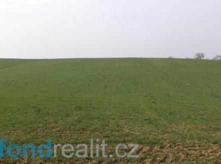 Prodej - pozemek, zemědělská půda, 4 751 m²