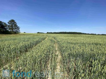 . | Prodej - pozemek, zemědělská půda, 18 385 m²