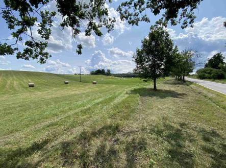 Prodej - pozemek, zemědělská půda, 55 481 m²