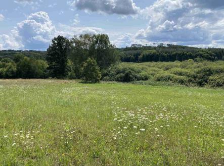 Prodej - pozemek, zemědělská půda, 55 481 m²