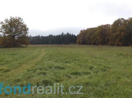 . | Prodej - pozemek, zemědělská půda, 43 420 m²