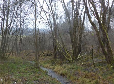 Prodej - pozemek, ostatní, 2 894 m² obrázek