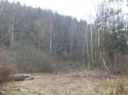 Prodej - pozemek, ostatní, 2 894 m²