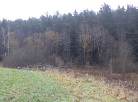 Prodej - pozemek, ostatní, 2 894 m²