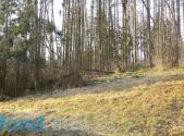 Prodej - pozemek, ostatní, 1 595 m²