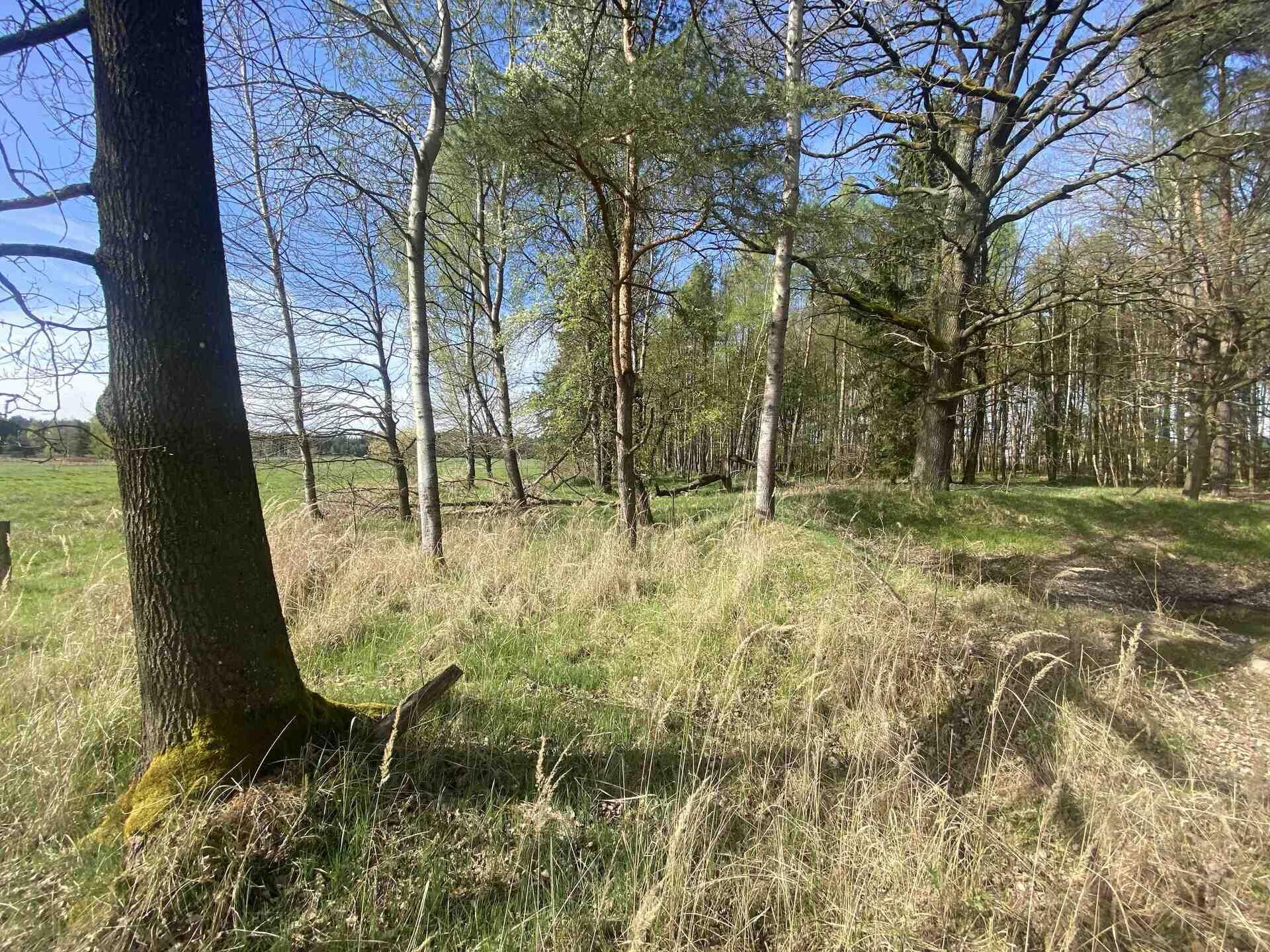 pozemek parc. č. 1164