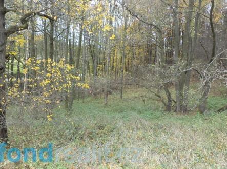 Prodej - pozemek, ostatní, 2 463 m² obrázek