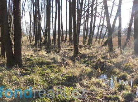 . | Prodej - pozemek, ostatní, 41 773 m²