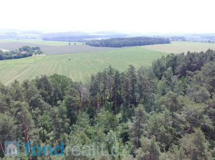 Prodej - pozemek, les, 3 299 m² obrázek