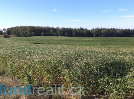 . | Prodej - pozemek, zemědělská půda, 4 968 m²