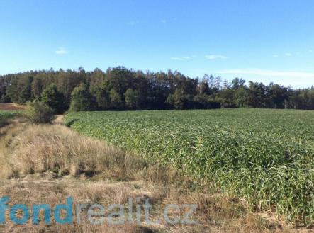 . | Prodej - pozemek, zemědělská půda, 4 968 m²