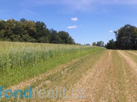 . | Prodej - pozemek, zemědělská půda, 18 412 m²