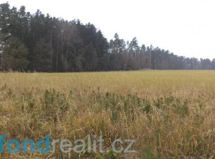 . | Prodej - pozemek, zemědělská půda, 30 074 m²