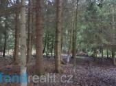 Prodej - pozemek, les, 9 683 m²