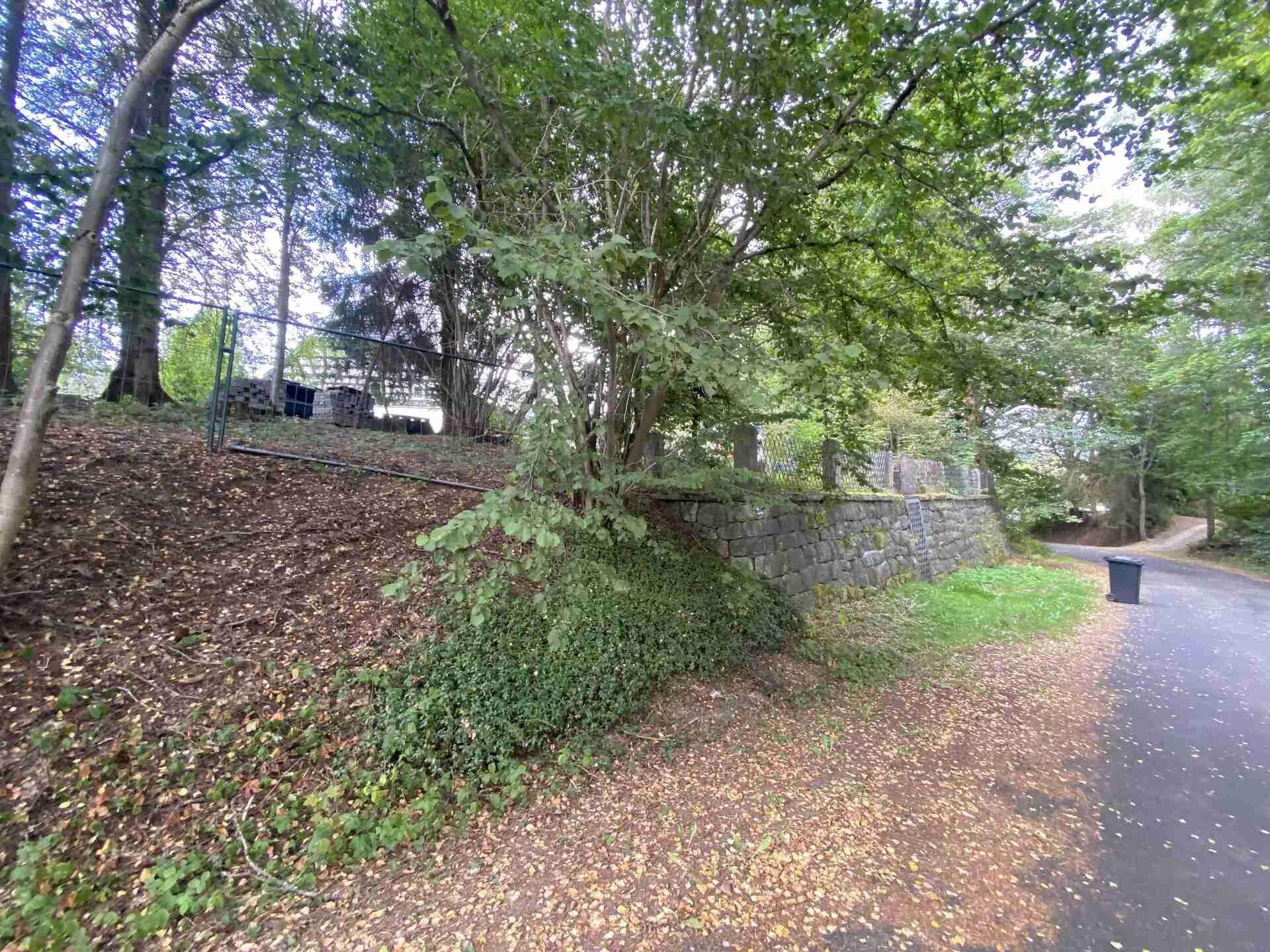 prodej pozemků Loučná v Krušných horách