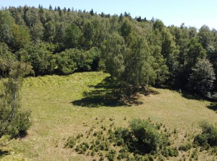 Prodej - pozemek, zemědělská půda, 43 079 m²