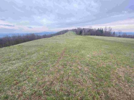 Prodej - pozemek, zemědělská půda, 22 044 m² obrázek