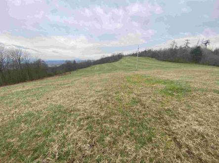 Prodej - pozemek, zemědělská půda, 20 044 m²