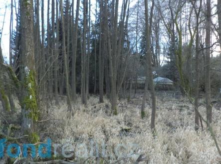 . | Prodej - pozemek, ostatní, 8 532 m²