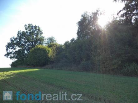 . | Prodej - pozemek, ostatní, 2 385 m²