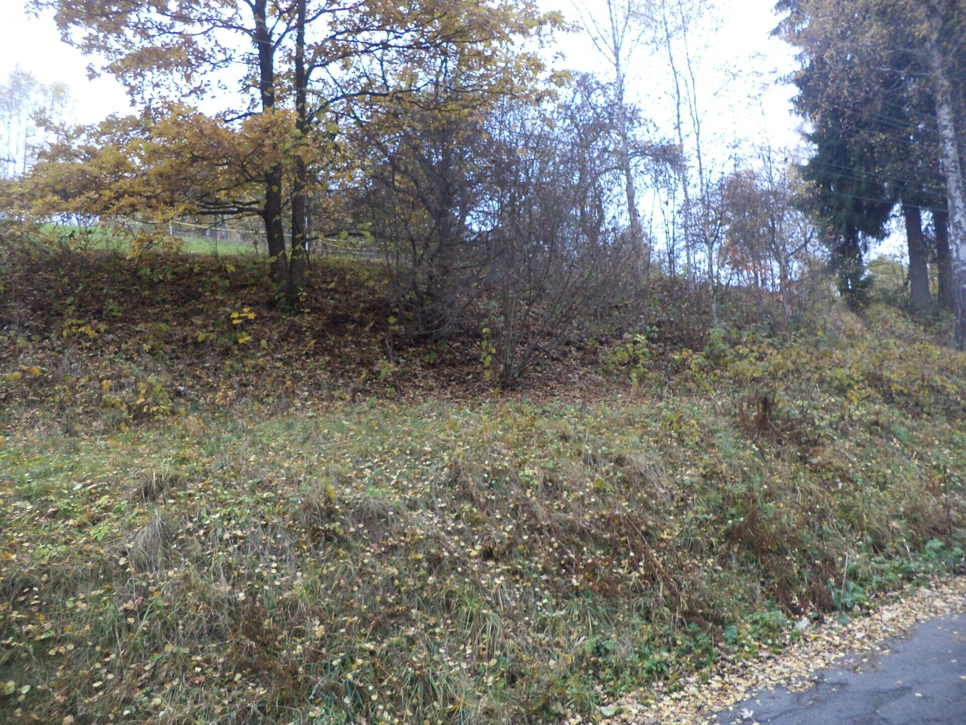 prodej pozemků Lhotka u Zlaté Olešnice