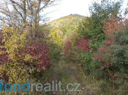 . | Prodej - pozemek, zemědělská půda, 3 929 m²