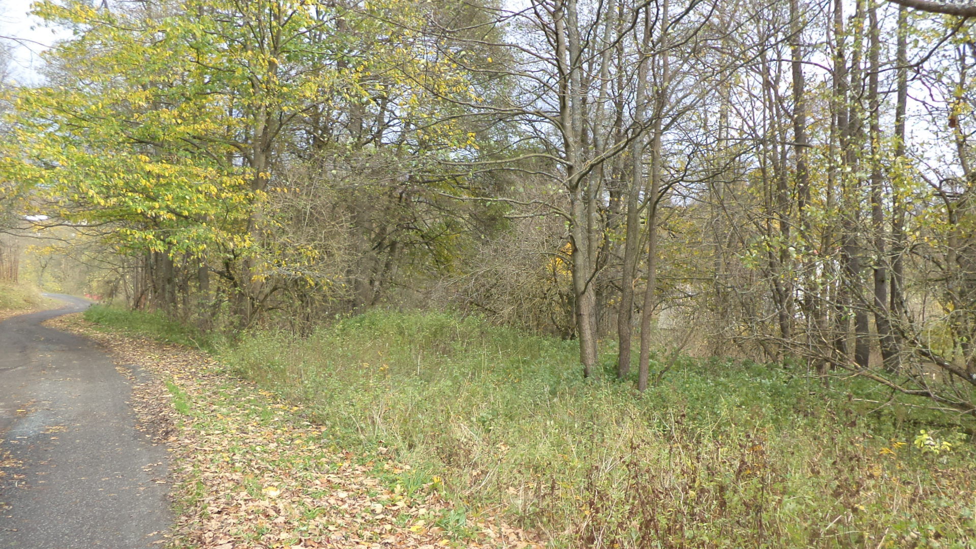 prodej pozemků Dolní Paseky