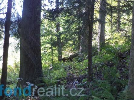 . | Prodej - pozemek, zemědělská půda, 15 217 m²