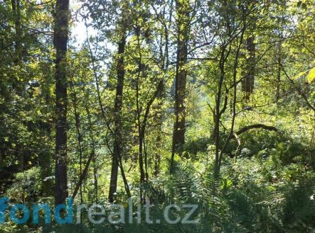 . | Prodej - pozemek, ostatní, 14 721 m²