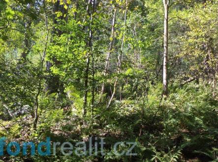 . | Prodej - pozemek, ostatní, 14 721 m²