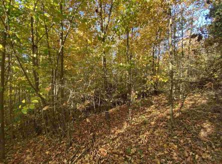 Prodej - pozemek, zemědělská půda, 12 622 m²