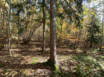 Prodej - pozemek, zemědělská půda, 9 794 m² obrázek