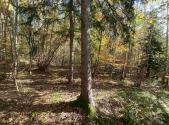 Prodej - pozemek, zemědělská půda, 9 794 m²