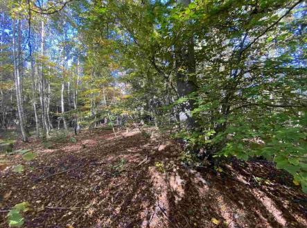 Prodej - pozemek, zemědělská půda, 9 794 m²