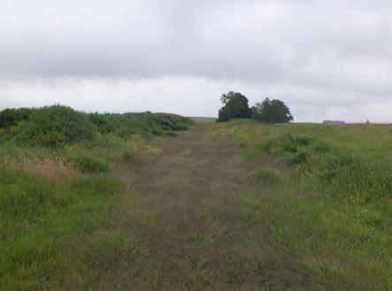 Prodej - pozemek, zemědělská půda, 4 685 m²