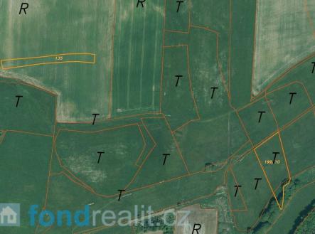 Prodej - pozemek, zemědělská půda, 55 481 m²