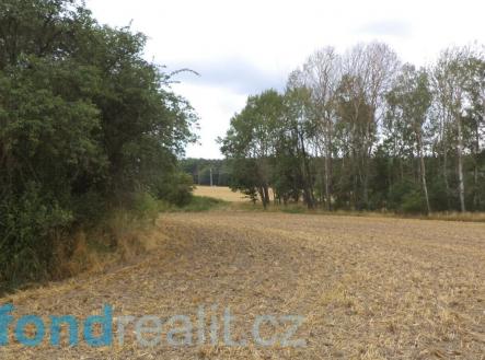 . | Prodej - pozemek, zahrada, 1 100 m²