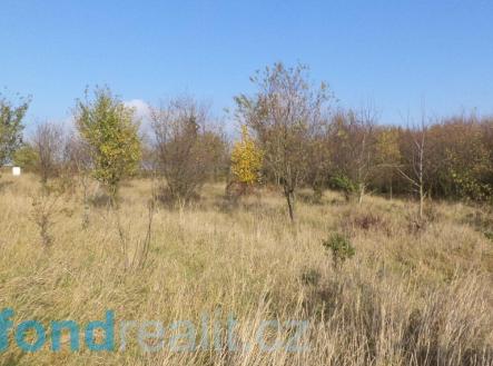Prodej - pozemek, zahrada, 637 m² obrázek