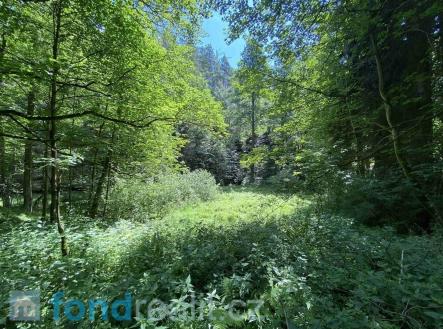 . | Prodej - pozemek, ostatní, 19 951 m²