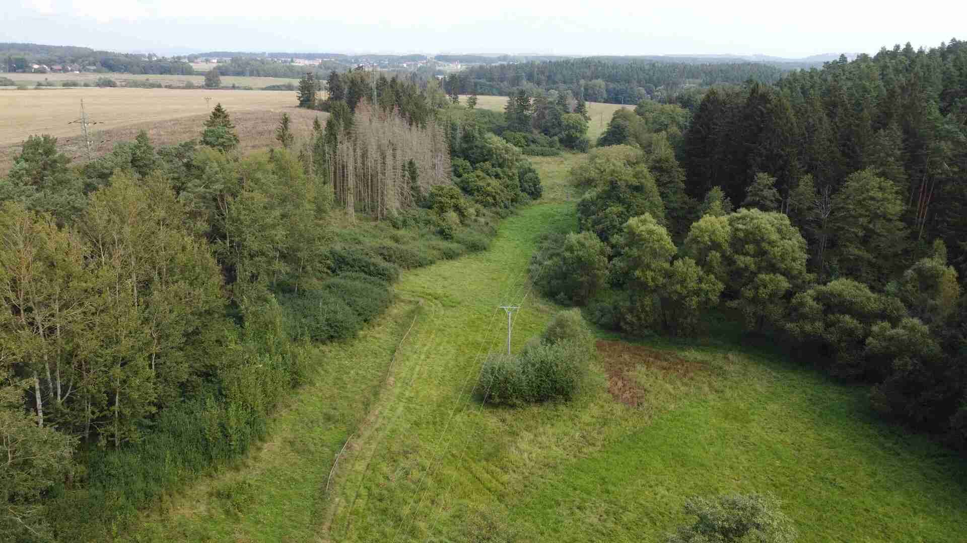 dražba pozemků k.ú. Tachov