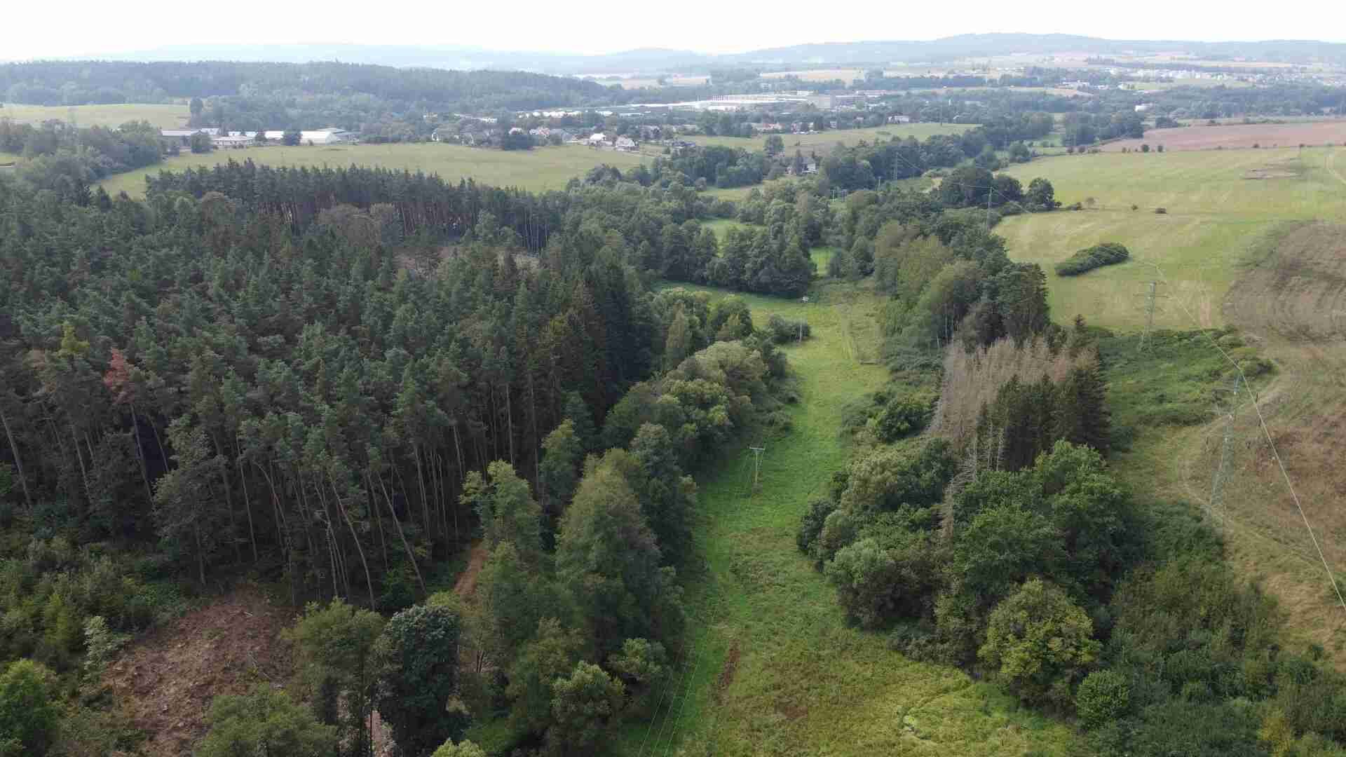 dražba pozemků k.ú. Tachov