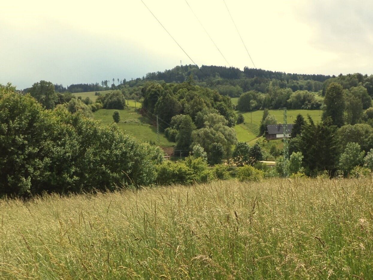 Prodej pozemku Chotěvice