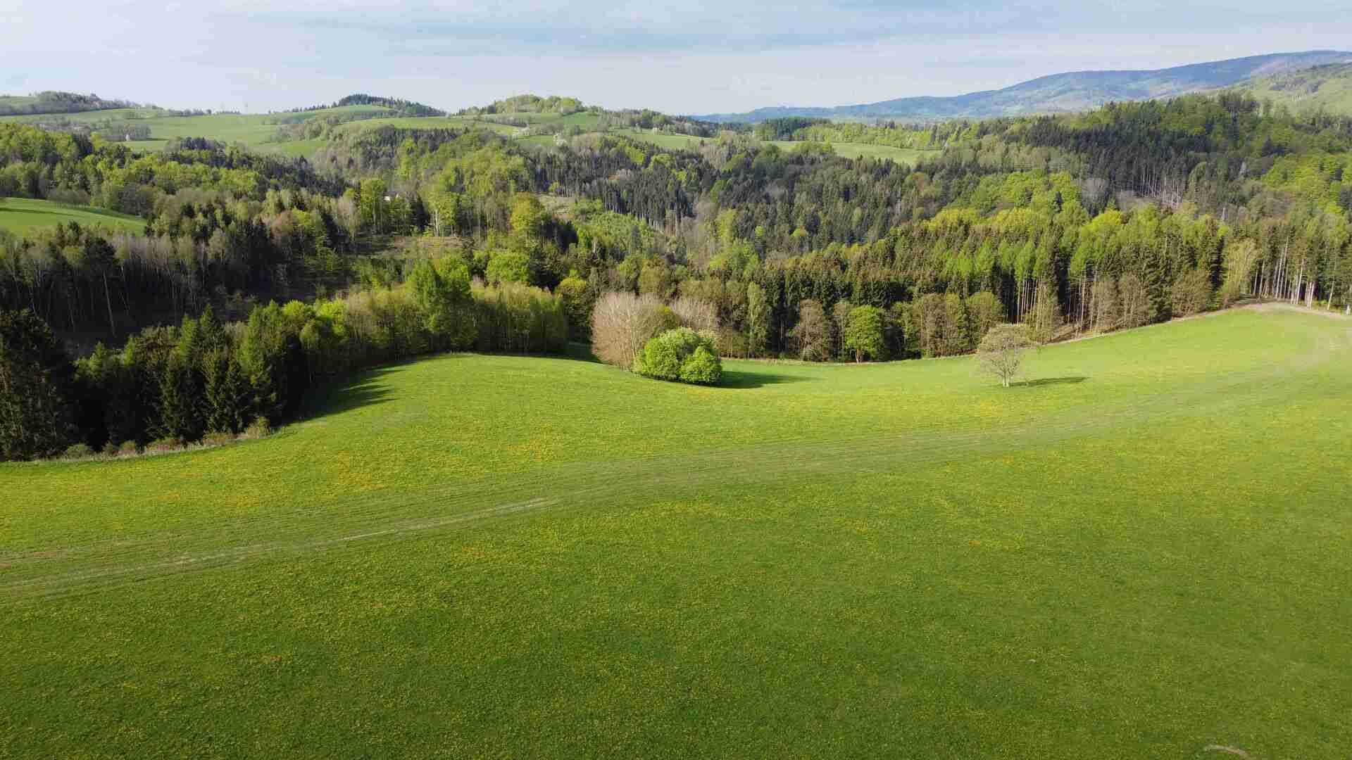 Prodej pozemku Hynčice nad Moravou