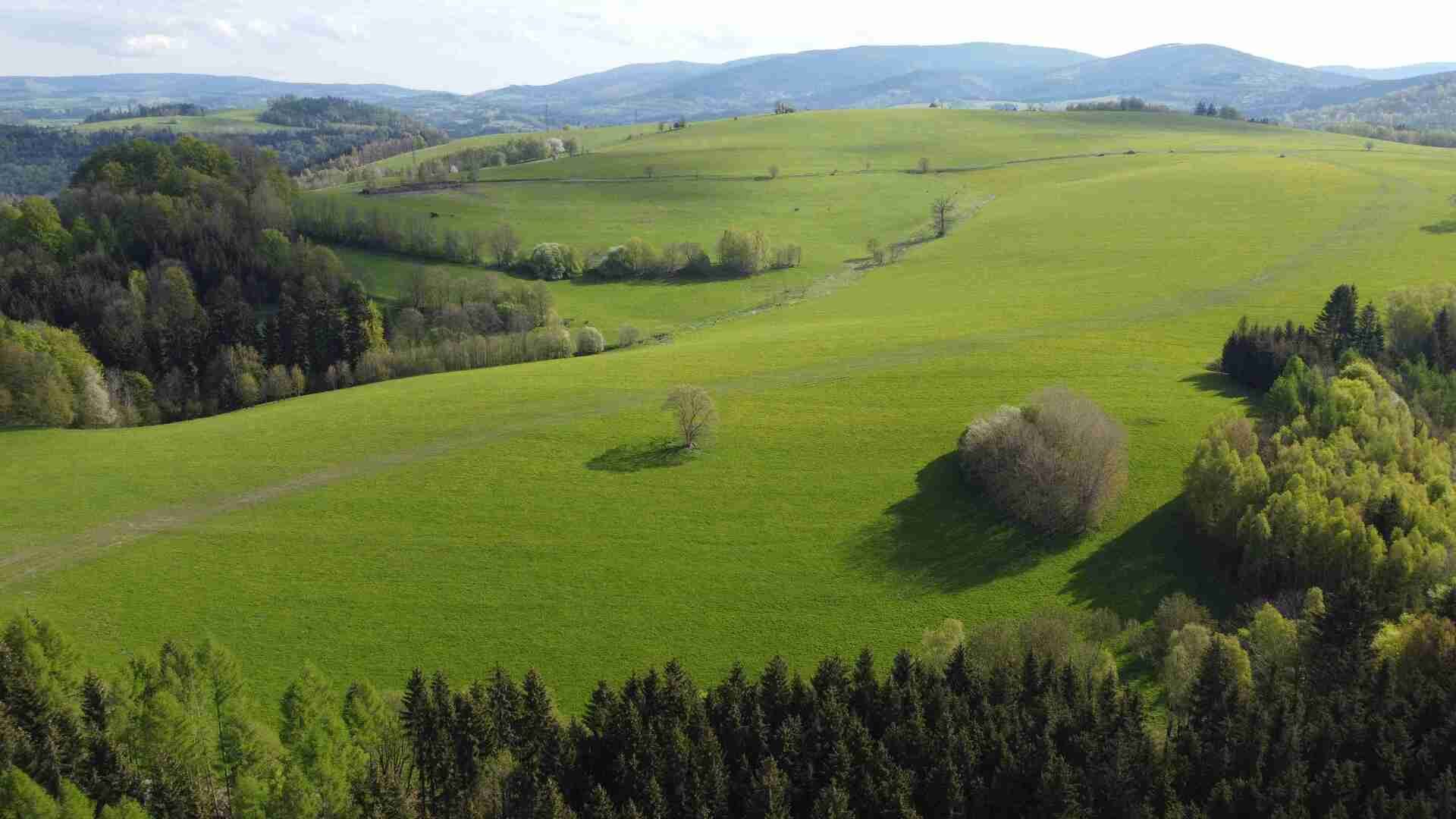 Prodej pozemku Hynčice nad Moravou