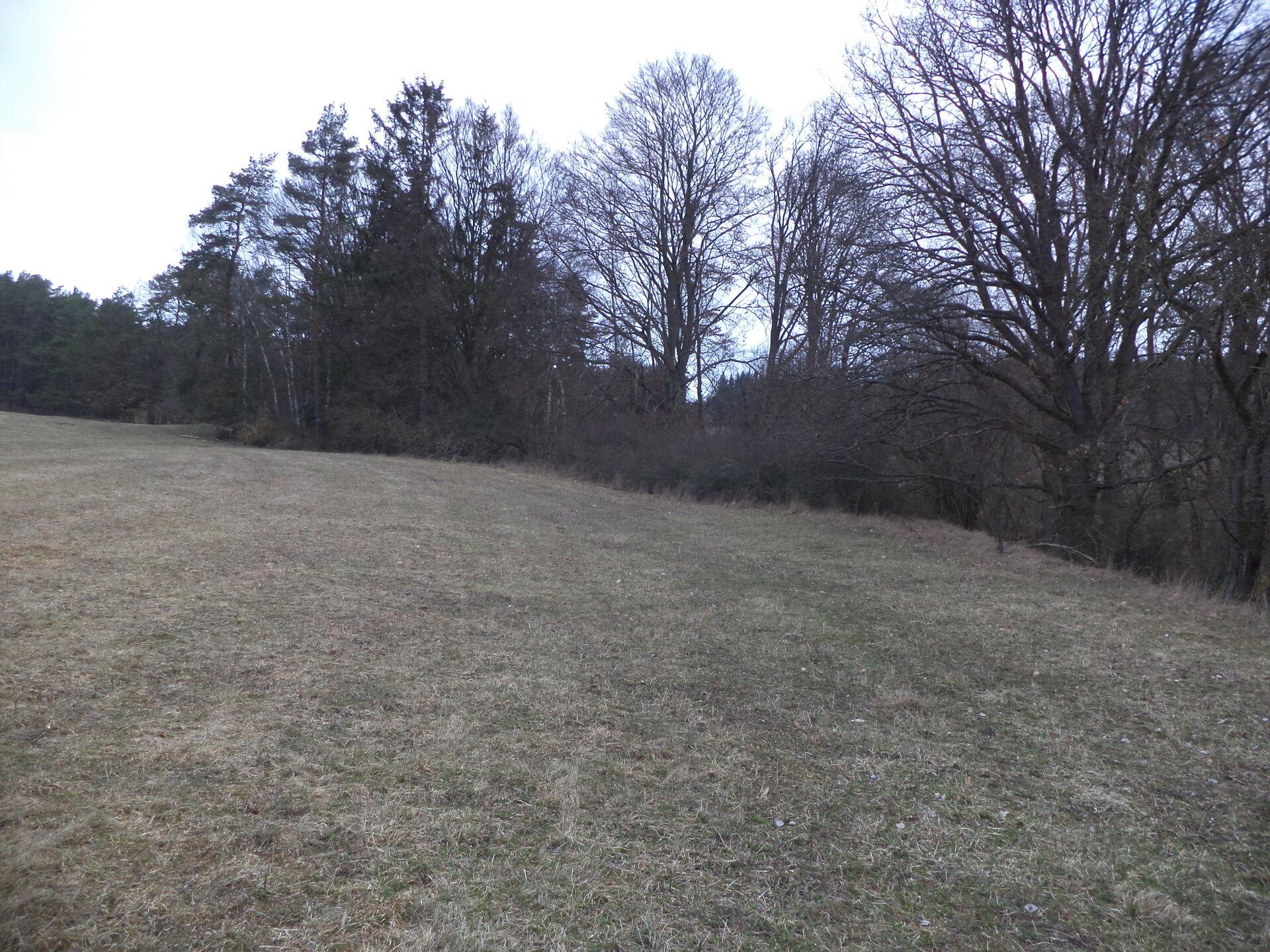 dražba pozemku Balková