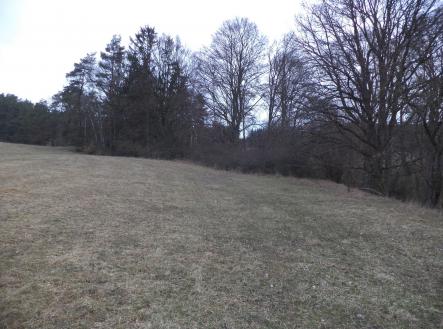 Prodej - pozemek, zemědělská půda, 6 625 m²
