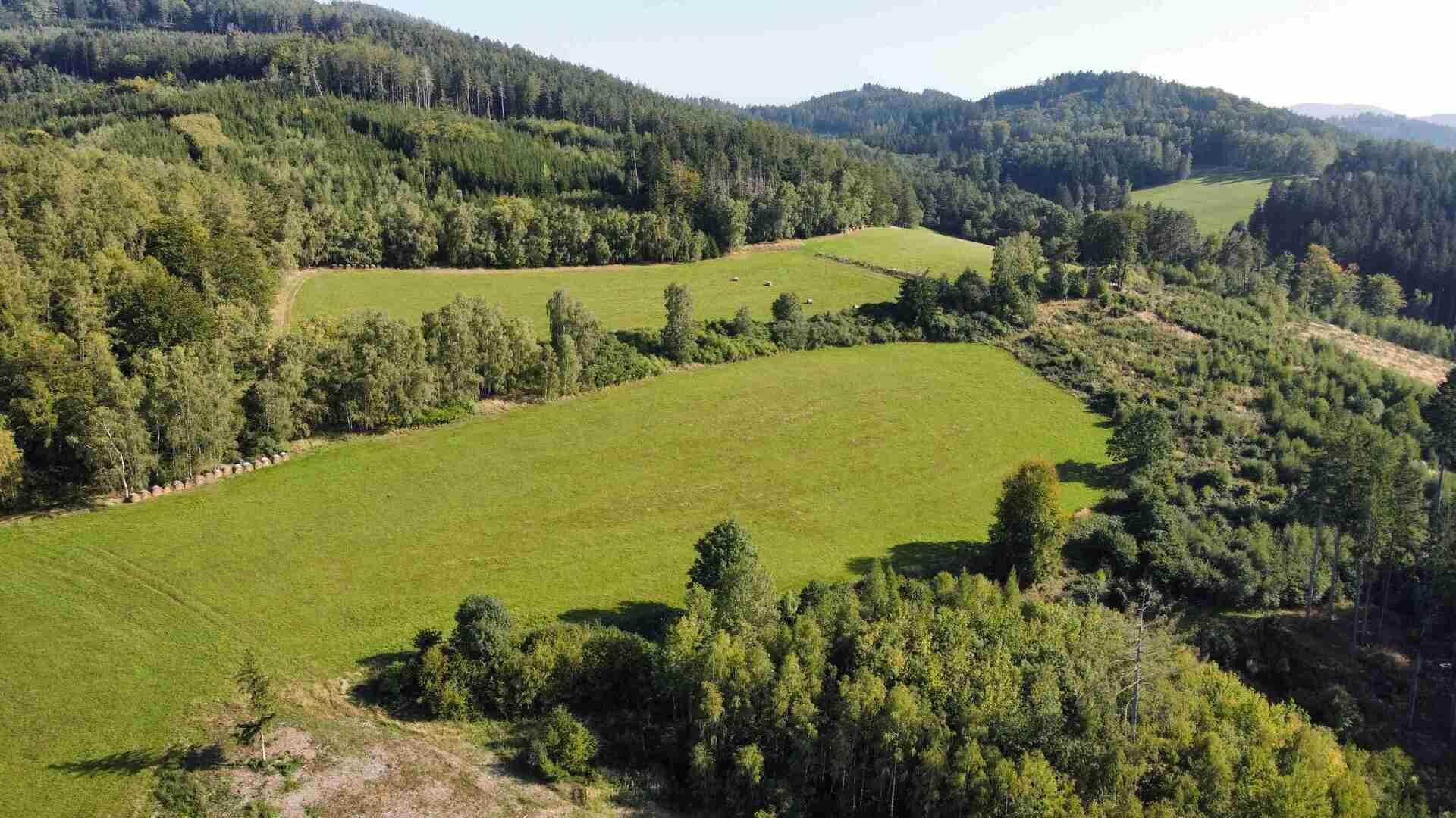 dražba pozemků Chlistov