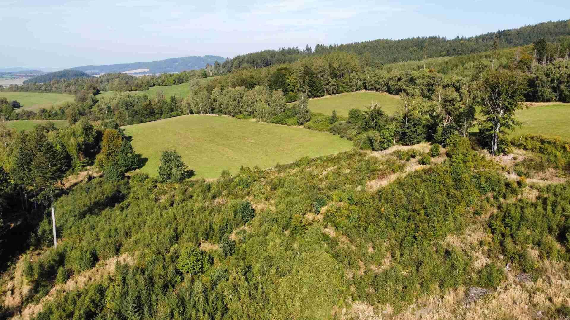 dražba pozemků Chlistov