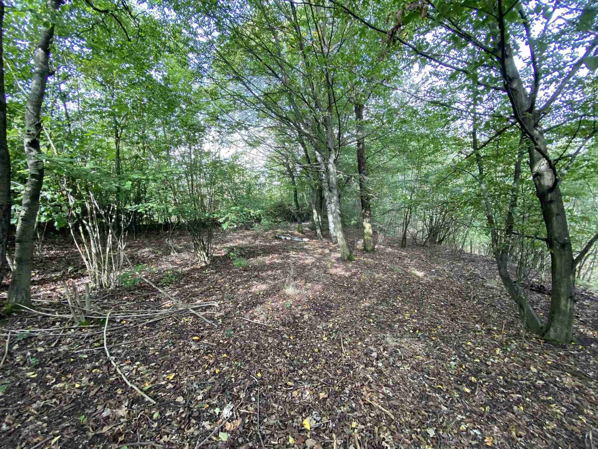 Prodej pozemku Radobyčice