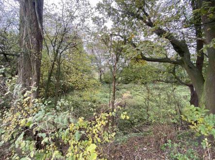 Prodej - pozemek, ostatní, 1 049 m²